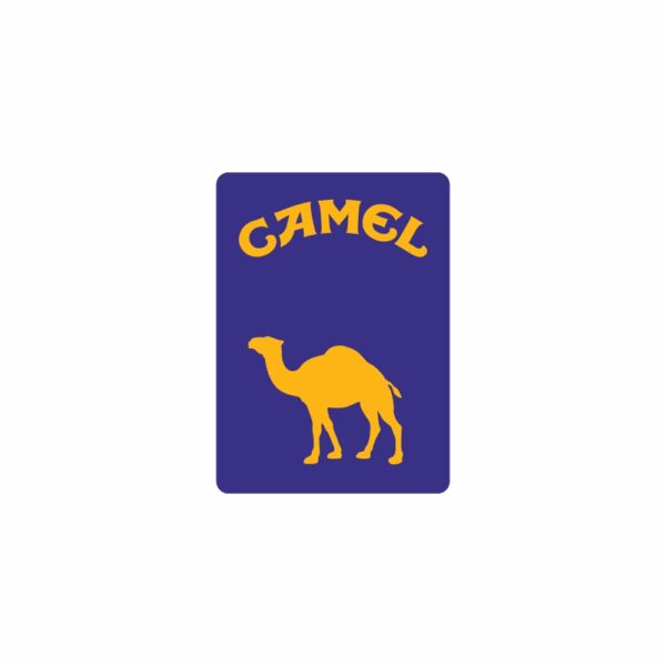 Naklejka Camel